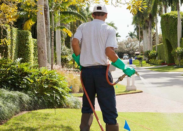 About Olancha CA Pest Control